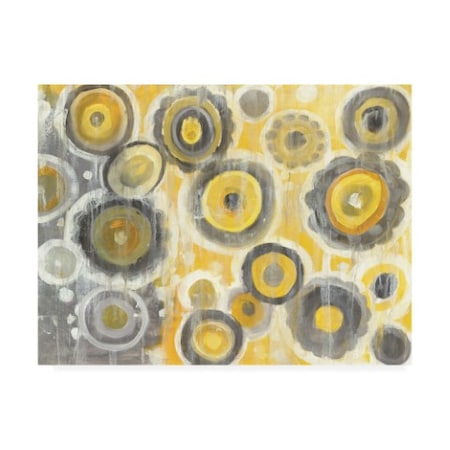 Danhui Nai 'Abstract Circles' Canvas Art,35x47
